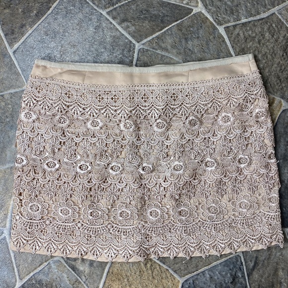 Sans Souci Lace Skirt - Picture 2 of 6